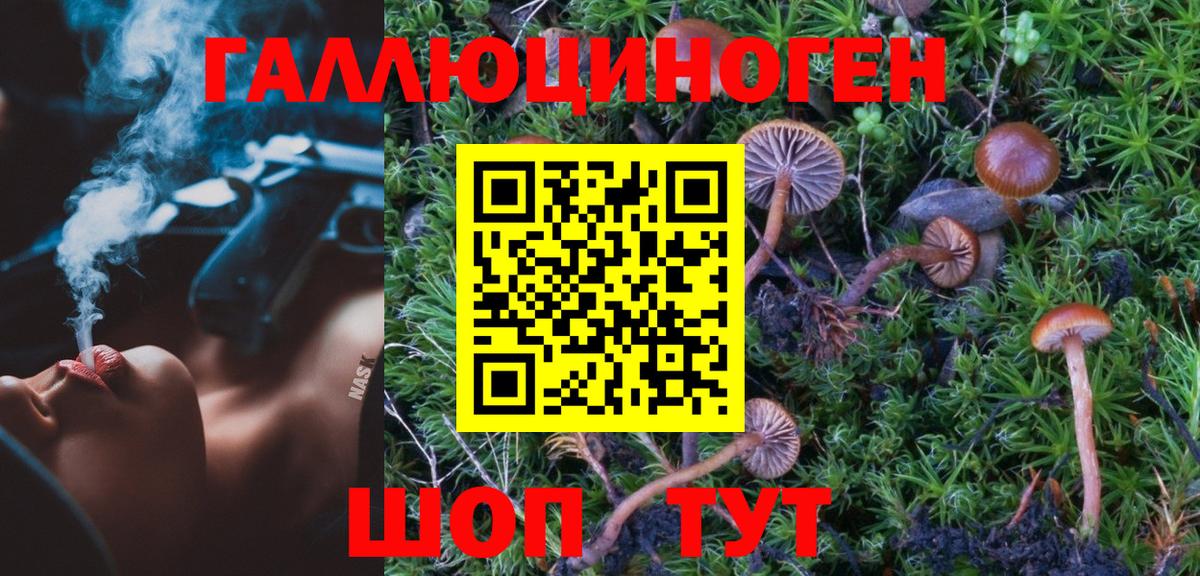 Псилоцибиновые грибы MAGIC MUSHROOMS Лесозаводск